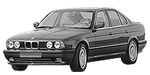 BMW E34 B194F Fault Code